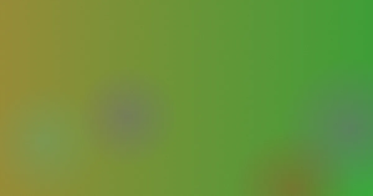 野九怎么用？我的实操顺序
